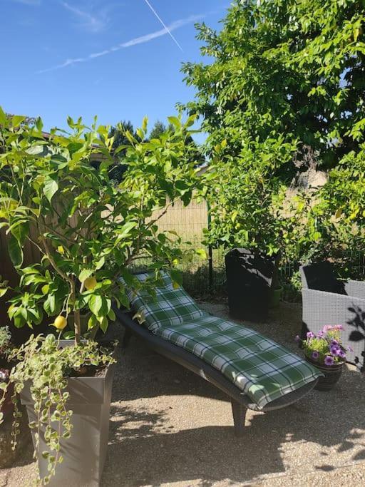 Gîte l' Arbre de Vie indépendant, au calme Les Essards  Exterior foto